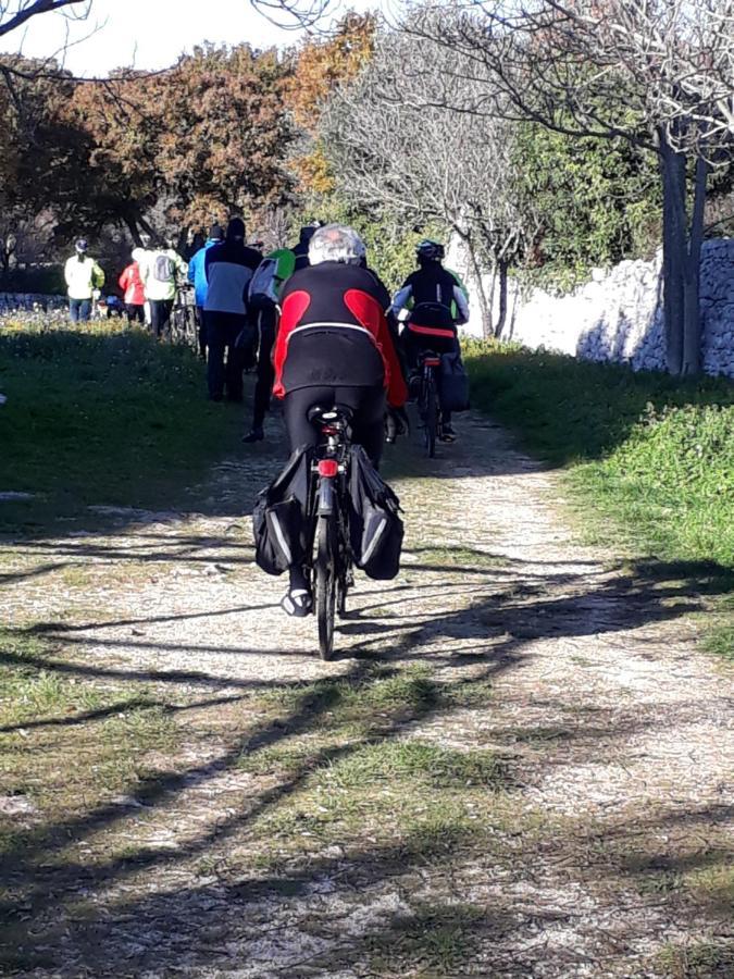 B&B Masseria Santanna Impalata Dış mekan fotoğraf
