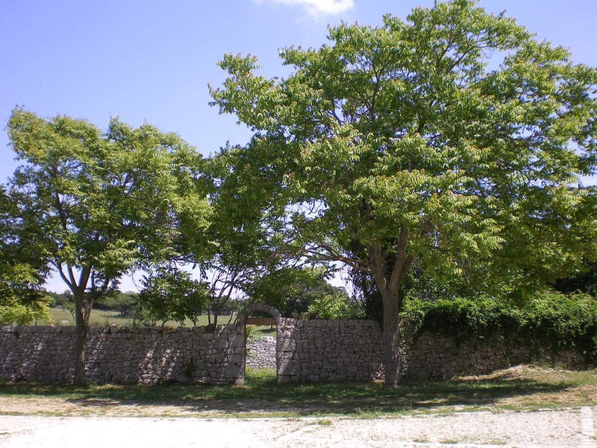 B&B Masseria Santanna Impalata Dış mekan fotoğraf